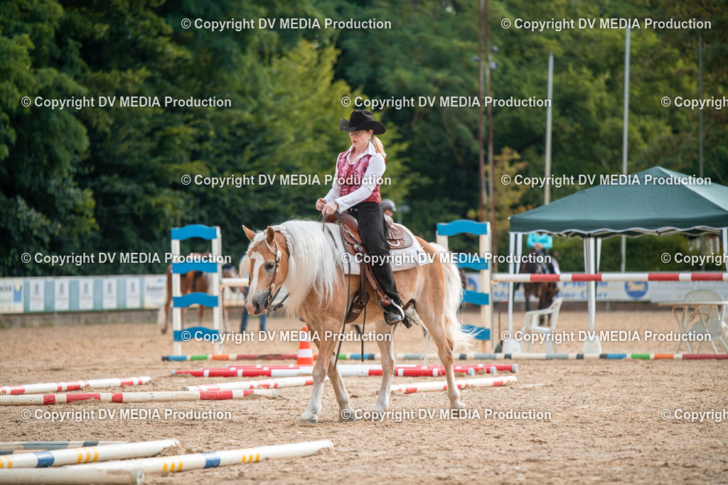 ZS2_7339 | dv-media-shop - Realisiert mit Pictrs.com