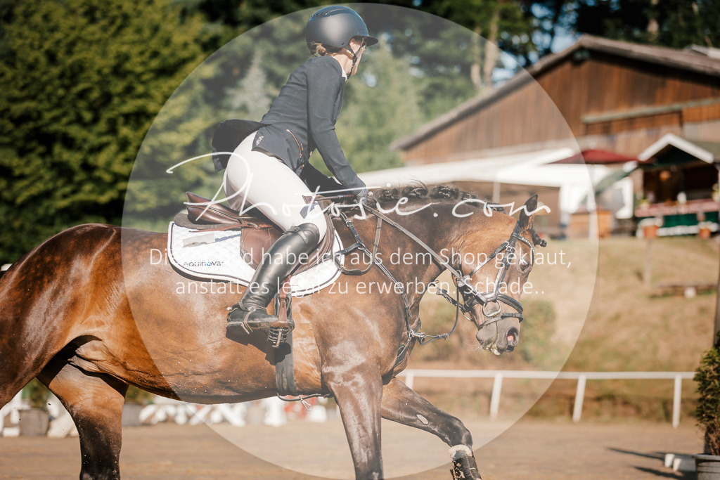 3I6A6268 | Stimmungsvolle Portraits und Reitsportfotografie im Ruhrgebiet und im Münsterland.

Pferdefotografie, Hundefotografie, Tierfotografie, Reportagen, Portraits von Tier und Mensch, Turnierfotografie in Bochum, Recklinghausen, Marl, Haltern am See, Dülmen.. - Realisiert mit Pictrs.com
