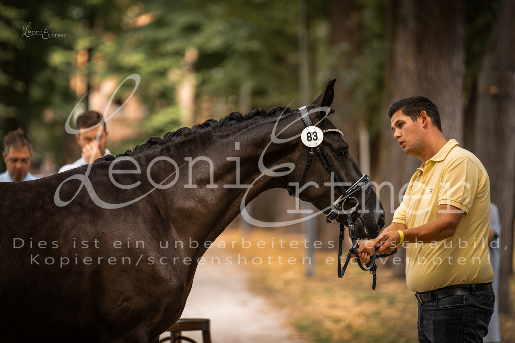 FrPfM00079 | Leoni Ertmer Photography - Realisiert mit Pictrs.com