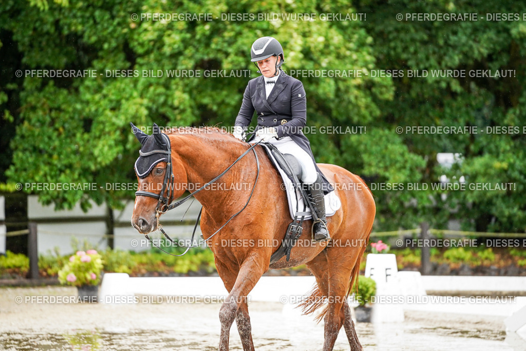 DSC09616 | Pferdegrafie