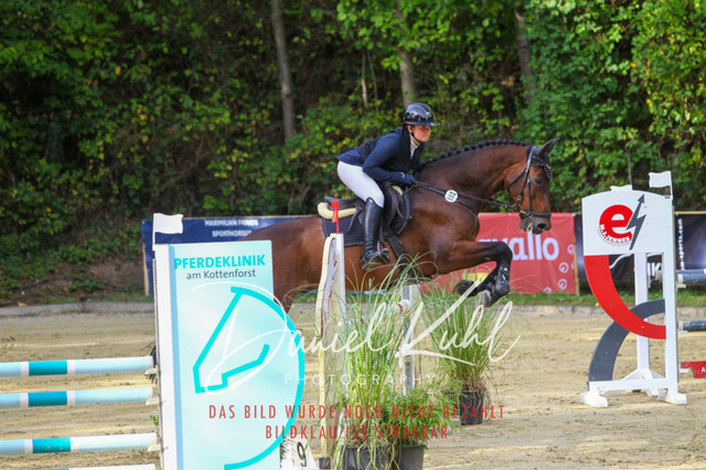 DKP42539 | Turniersportfotografie; Pferdefotografie; Dressurfotografie