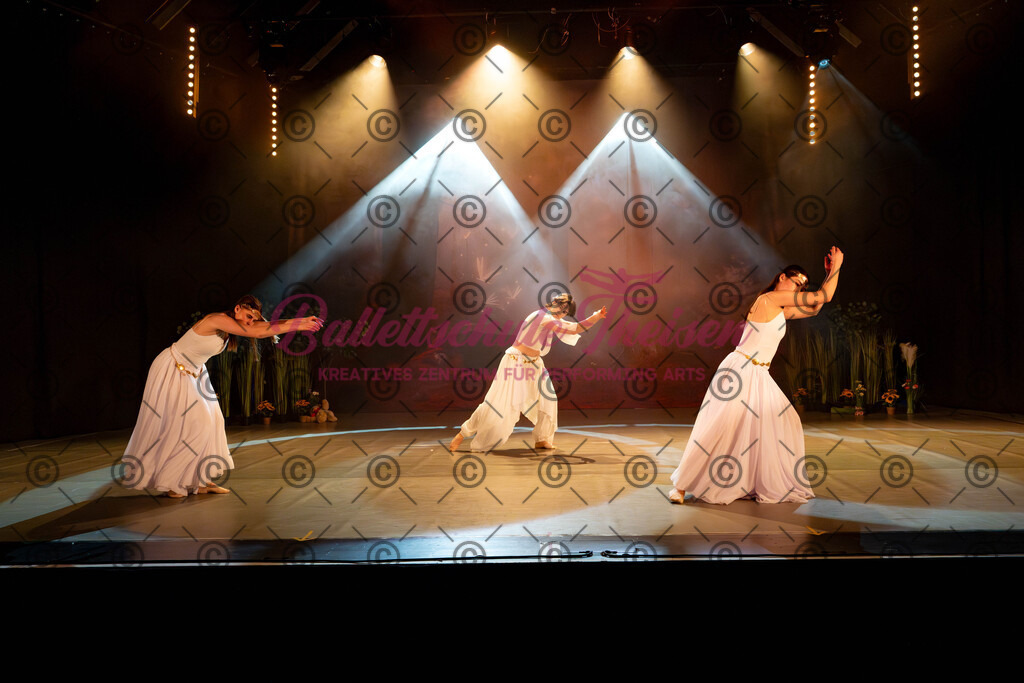 Ballettaufführung-495 | Bildershop Lem'n Entertainment - Realisiert mit Pictrs.com