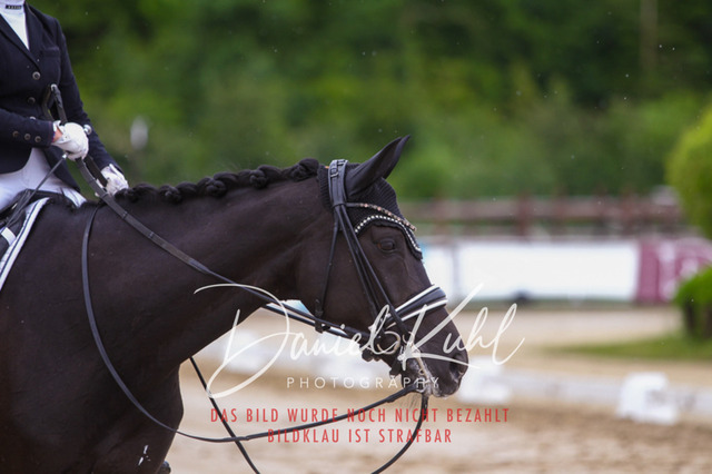 DKP47197 | Turniersportfotografie; Pferdefotografie; Dressurfotografie