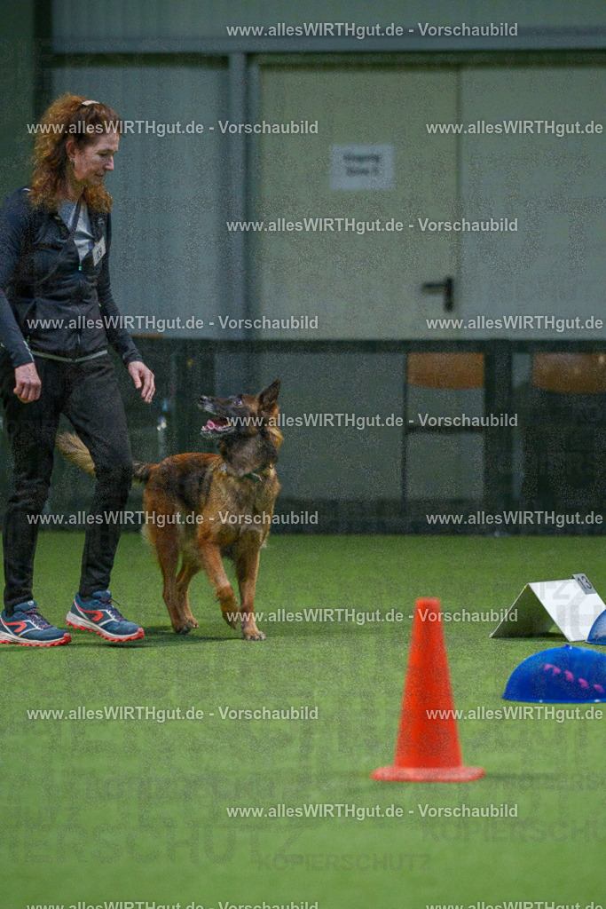 7R505636 | Professionelle Tierfotografie in Mönchengladbach von Daniel Wirth (allesWIRTHgut). Liebevolle & natürliche Bilder von Hunden & Katzen für unvergessliche Erinnerungen.