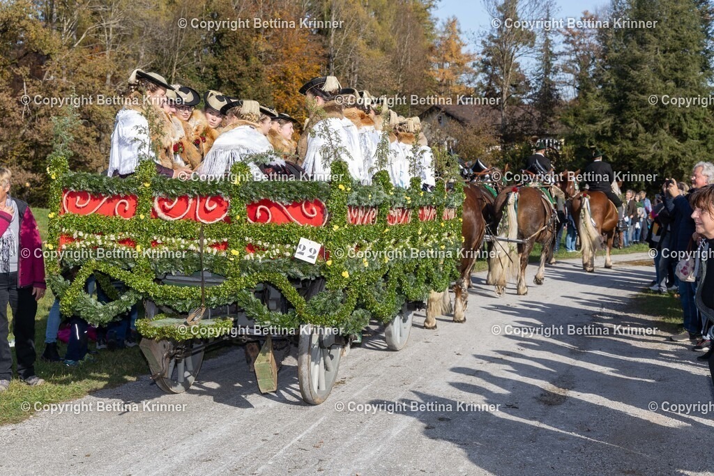 LBT24-1243 | foto-bettina-krinner - Realisiert mit Pictrs.com