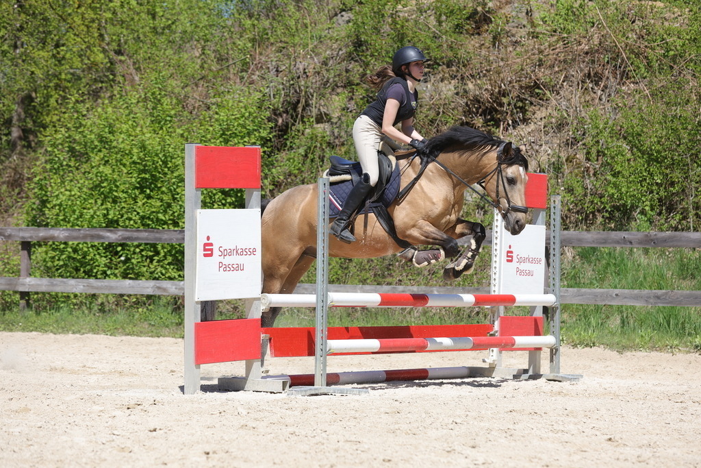 0P6A8874 | Willkommen bei Brunnmayr - Design & Fotografie – Ihrem Spezialisten für Reitturniere und Pferdeveranstaltungen in Oberösterreich, Salzburg und Bayern! Seit über 17 Jahren sind wir leidenschaftlich dabei.