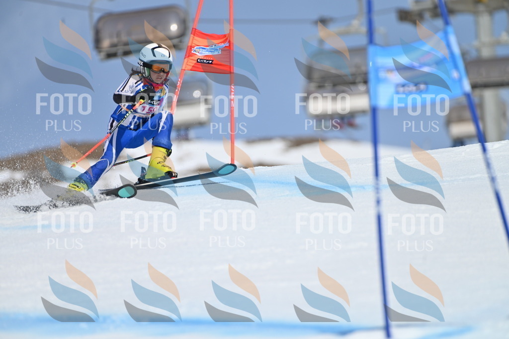 BGV_0227 | holidayphoto