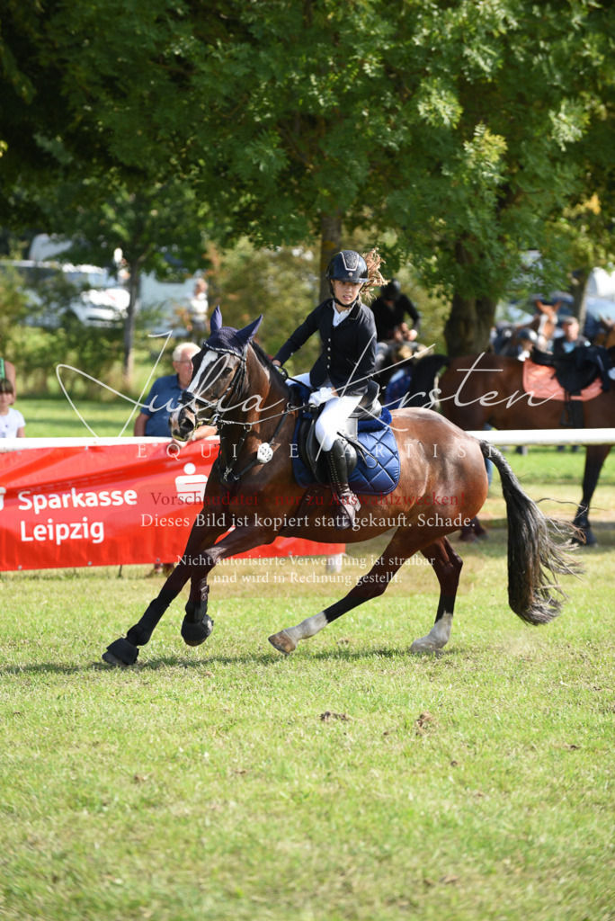 DSC_8934 | Pferde- und Turnierfotografie in Westsachsen. Pferdeportraits, Auftragszeichnungen und intuitive Kunst.