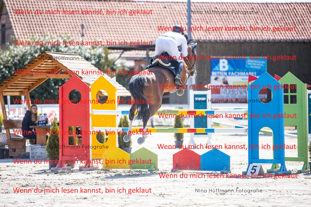 BK1A6233 | Turnierbilder Turnierfotos Nina Hüffmann Turnierfotografie Pferdefotografie Tierzeichnung Haustierzeichnung Pferdezeichnung Hundezeichnung Videograf  - Realisiert mit Pictrs.com