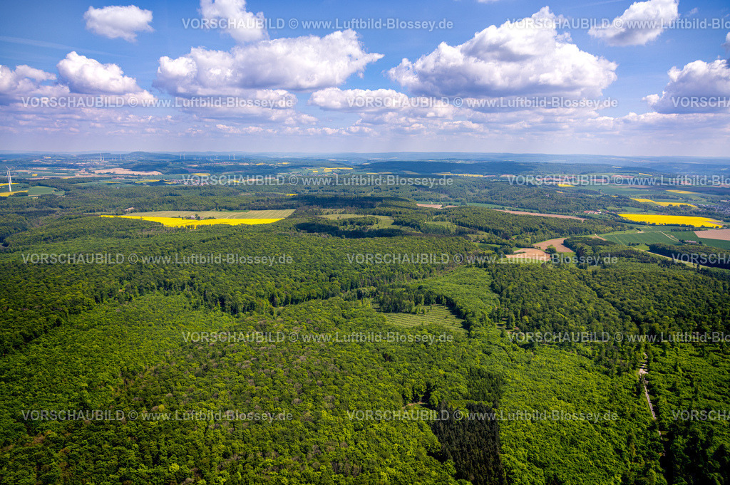 Brakel240504757NSG-HinnenburgerForst | Luftbild, NSG Naturschutzgebiet Hinnenburger Forst mit Emder Bachtal, herzförmige Lichtung, Alhausen, Bad Driburg, Ostwestfalen, Nordrhein-Westfalen, Deutschland