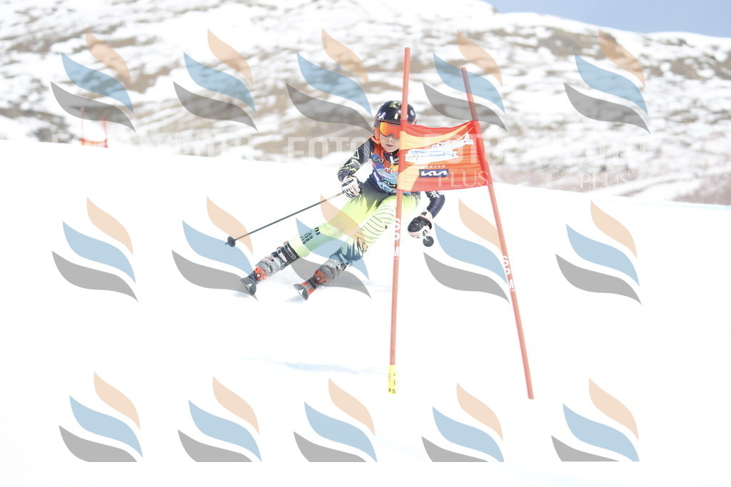 _U3G2931 | holidayphoto