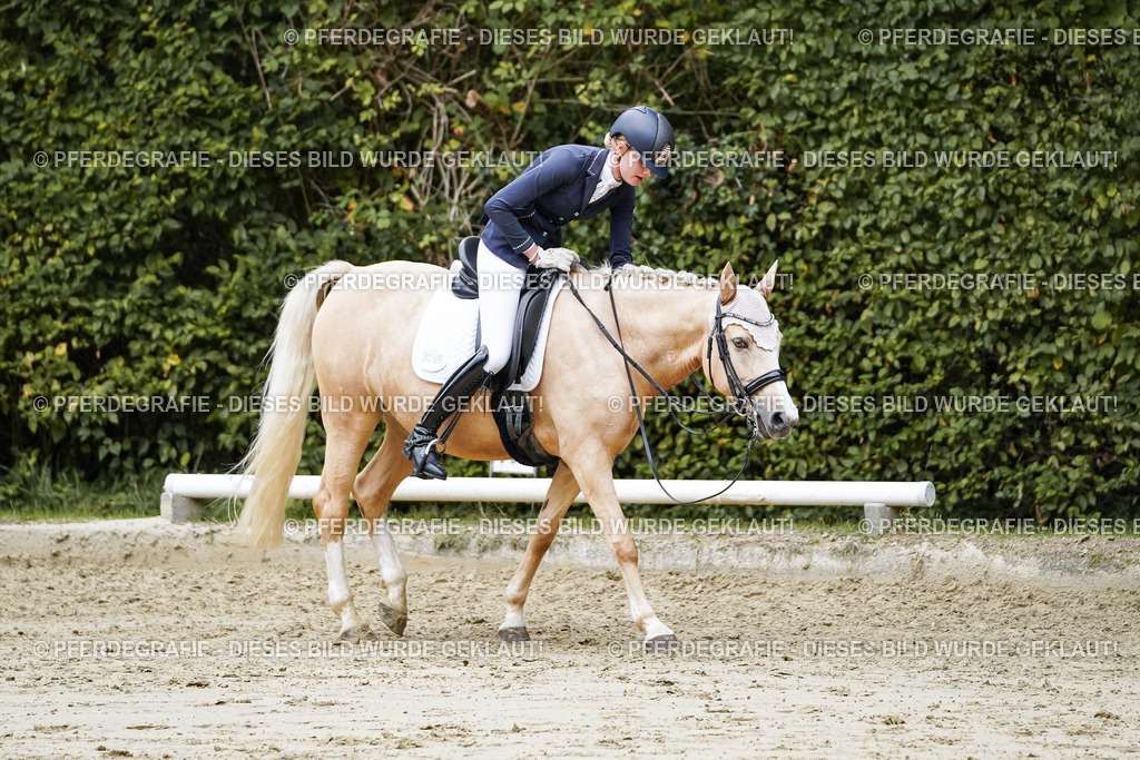 DSC07629 | Pferdegrafie