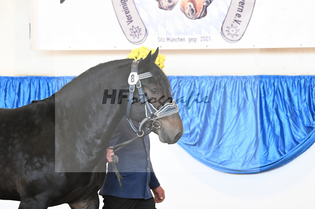 Kat-Nr. 8 nn v. Rembrandt_HLG Schwaiganger_39250122 | hf-fotografie - Realizzato con Pictrs.com