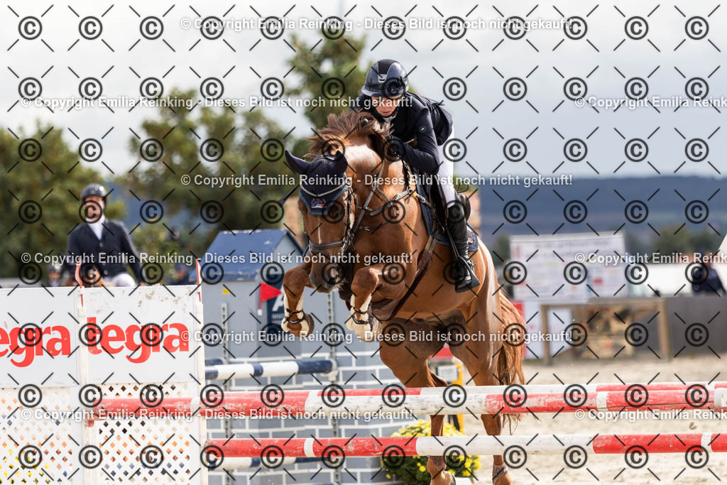 CL5A9999 | Emilia Reinking Fotografie - Realisiert mit Pictrs.com