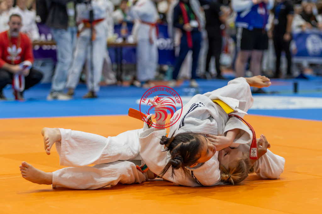 Internationaler Adler Cup 2024 | Foto vom Internationalen Adler Cup Judo Turnier im Sport- und Freizeitzentrum Kalbach im Oktober 2024 - Realisiert mit Pictrs.com