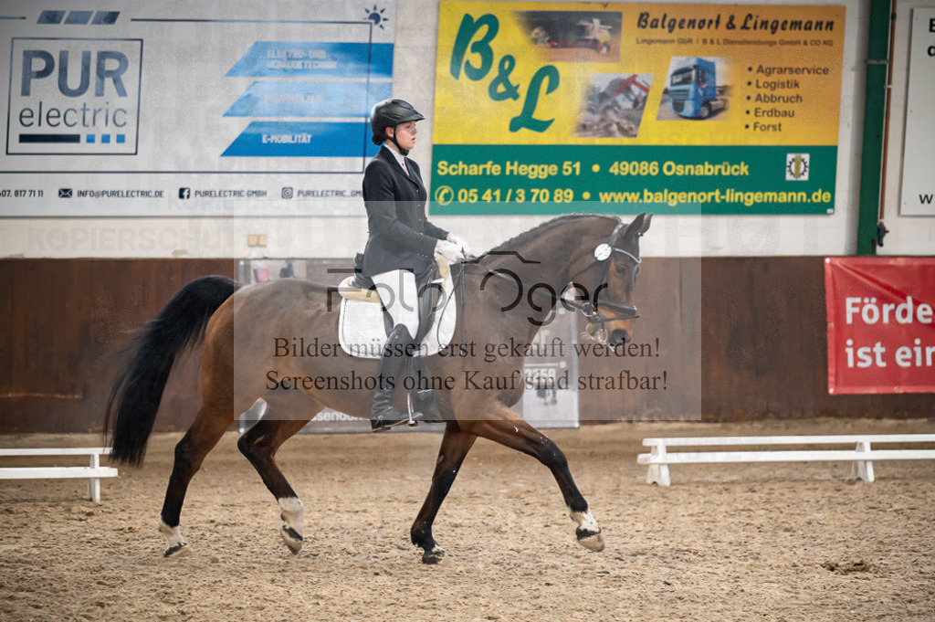Hallenreittunier Voxtrup 2023 | Entdecke hochwertige Reitturnierfotos von Foto Oger. Professionell, emotional und authentisch – jetzt Lieblingsmomente im Shop bestellen.Deutschlandweite Turnierfotografie. - Realisiert mit Pictrs.com