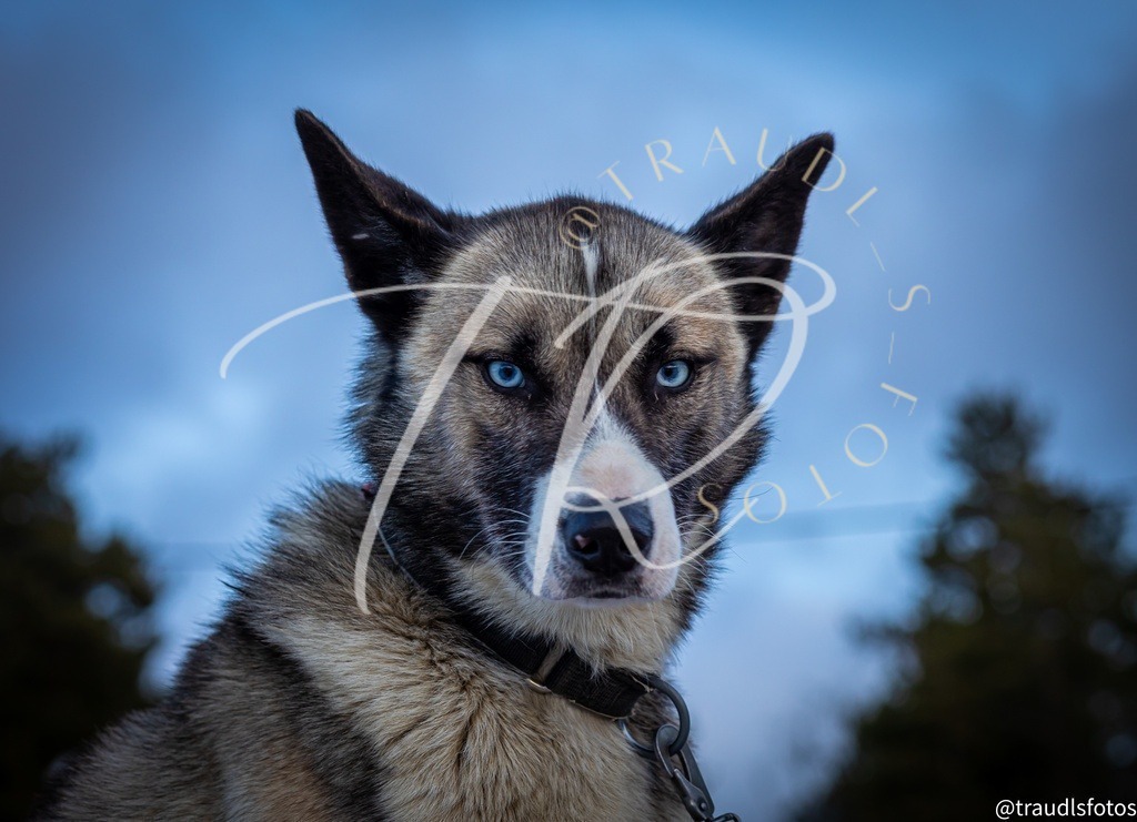 93B1DCE3-CB4D-4706-B8B6-06651330D73F | traudl_s_fotos