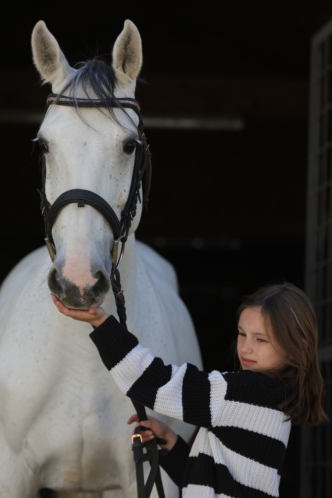 0P6A9012 | Willkommen bei Brunnmayr - Design & Fotografie – Ihrem Spezialisten für Reitturniere und Pferdeveranstaltungen in Oberösterreich, Salzburg und Bayern! Seit über 17 Jahren sind wir leidenschaftlich dabei.