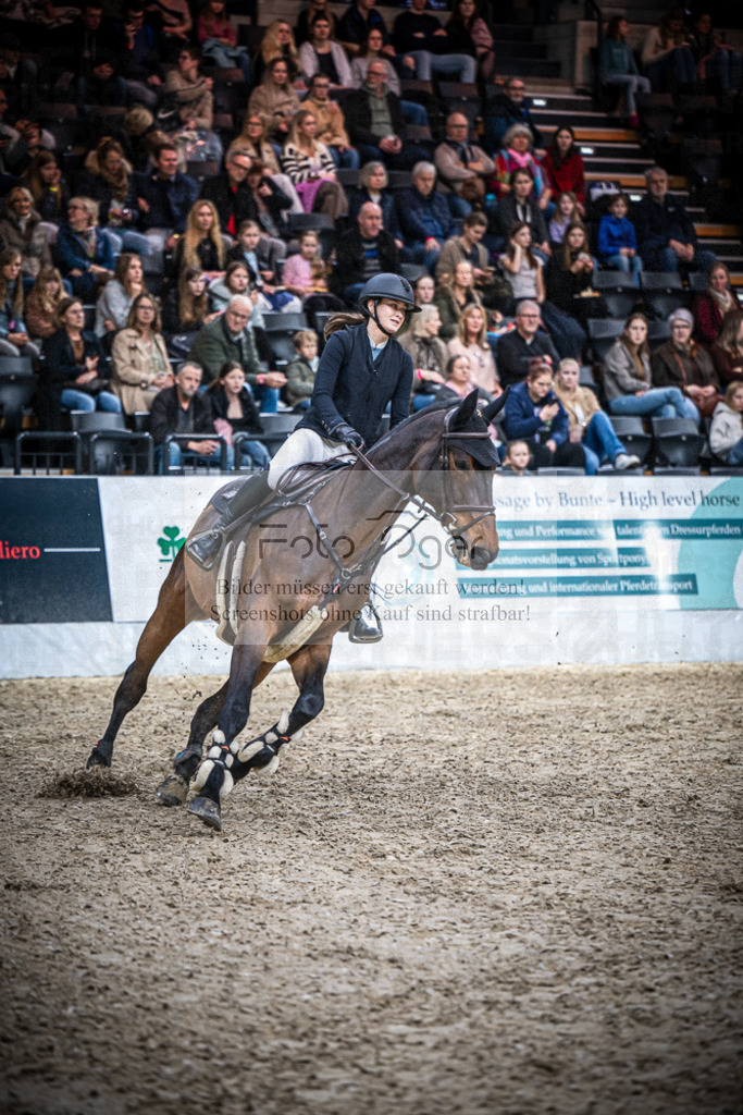 DOS_0153 | Entdecke hochwertige Reitturnierfotos von Foto Oger. Professionell, emotional und authentisch – jetzt Lieblingsmomente im Shop bestellen.Deutschlandweite Turnierfotografie. - Realisiert mit Pictrs.com