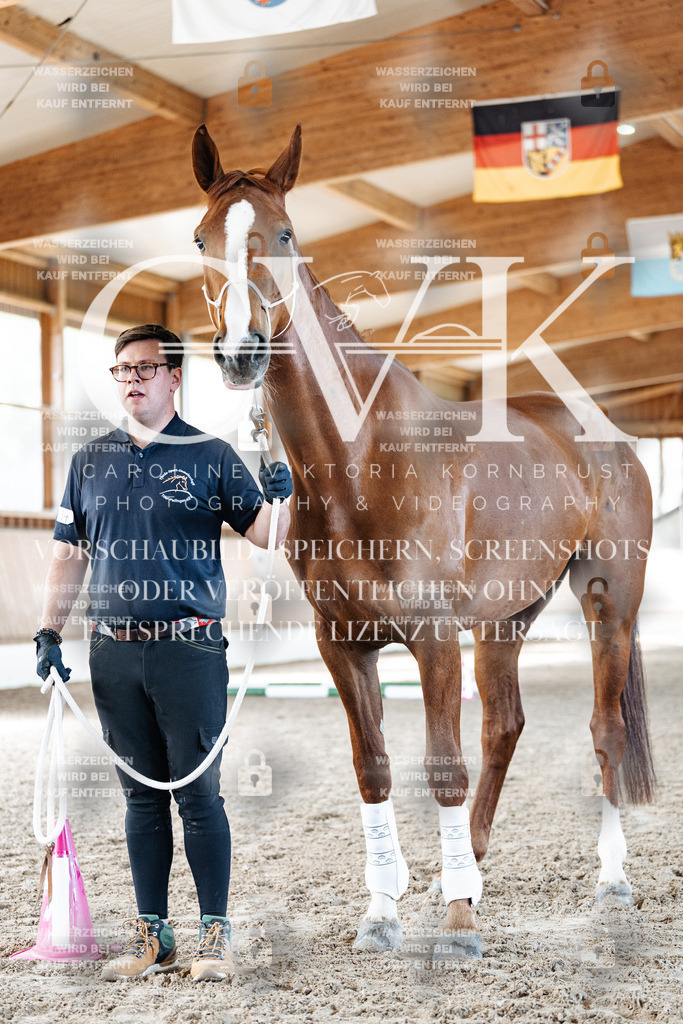 CK905806 | Turnierfotografie Pferdefotografie Trier Rheinland-Pfalz Pferdesport Reitsport Tierfotografie Sportfotografie Pferdevideo Pferdevideografie Equestrianvideography equestrianphotography  - Realisiert mit Pictrs.com