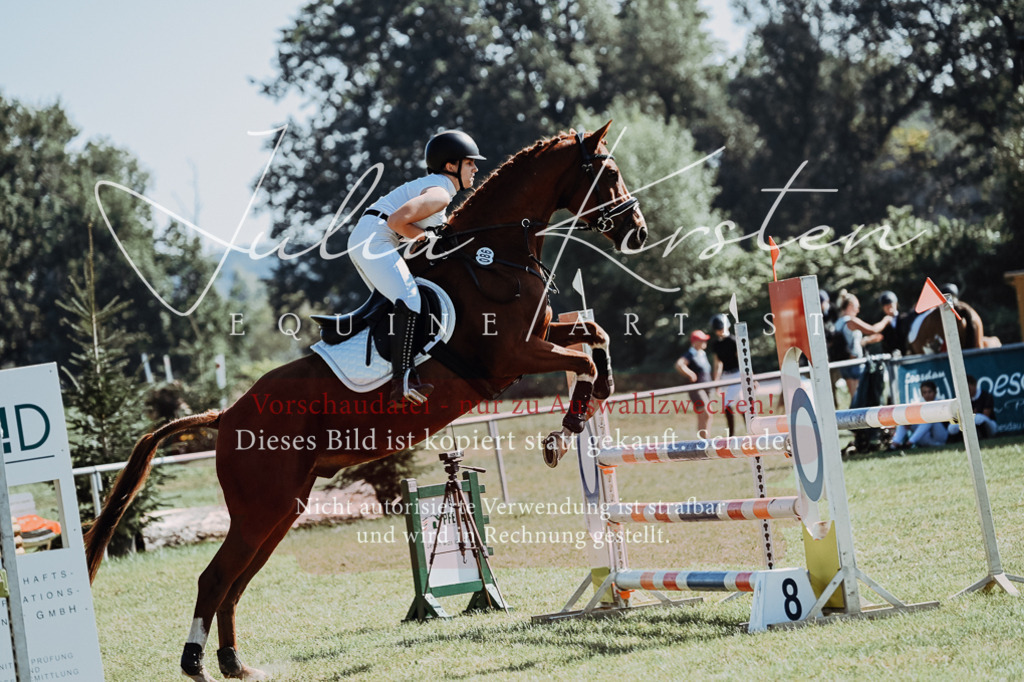 DSC_5669 | Pferde- und Turnierfotografie in Westsachsen. Pferdeportraits, Auftragszeichnungen und intuitive Kunst.