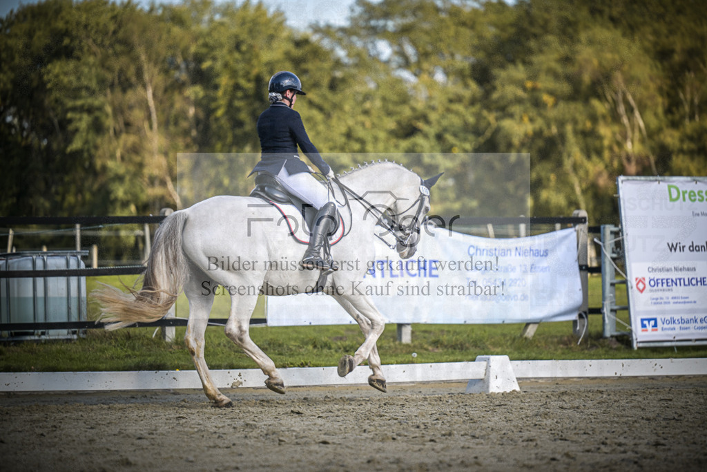 DOS_4553 | Entdecke hochwertige Reitturnierfotos von Foto Oger. Professionell, emotional und authentisch – jetzt Lieblingsmomente im Shop bestellen.Deutschlandweite Turnierfotografie. - Realisiert mit Pictrs.com