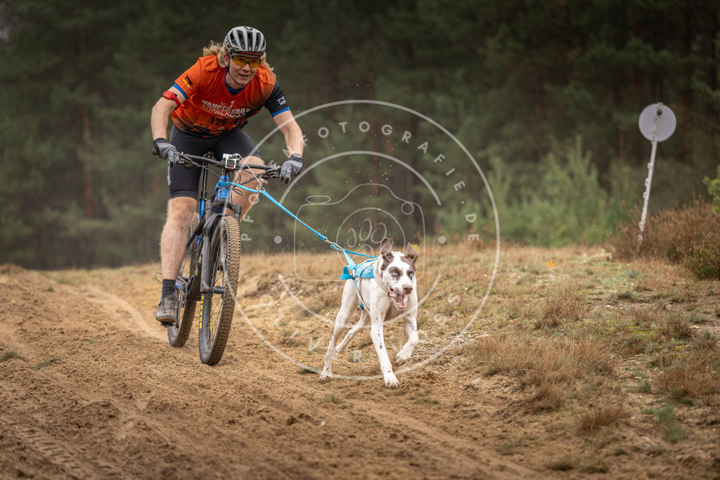 Pfotenfotografie_DV3A3649 | Hundefotografie, Tierfotograf, Pfotenfotografie, Fotoshooting Hund, Hunde Portrait, Hundesport, Hundeportraits, Heideshooting, Hunde, Sportfotograf, Hundefotograf, Turnierhundsport, THS,  - Realisiert mit Pictrs.com