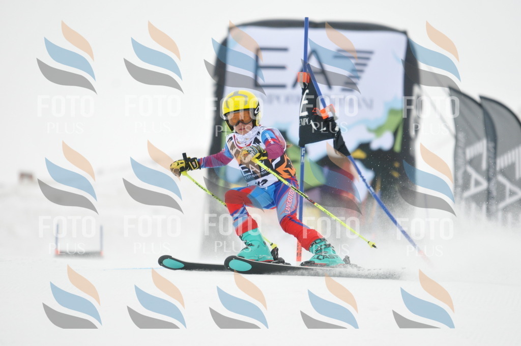 DSC_7642 | holidayphoto