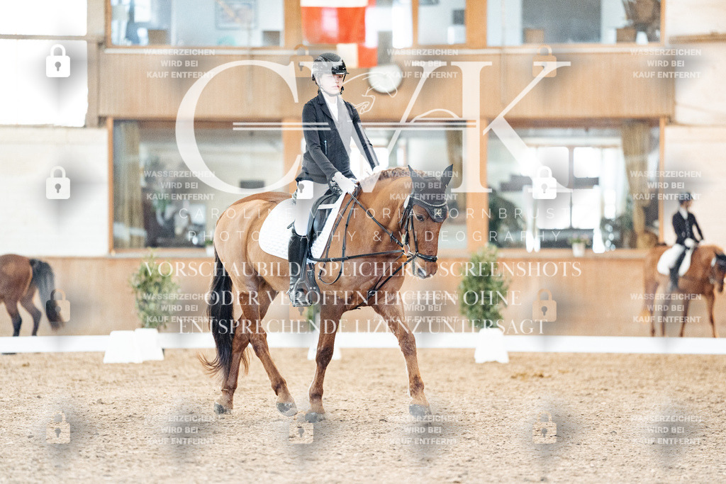 CK907719 | Turnierfotografie Pferdefotografie Trier Rheinland-Pfalz Pferdesport Reitsport Tierfotografie Sportfotografie Pferdevideo Pferdevideografie Equestrianvideography equestrianphotography  - Realisiert mit Pictrs.com