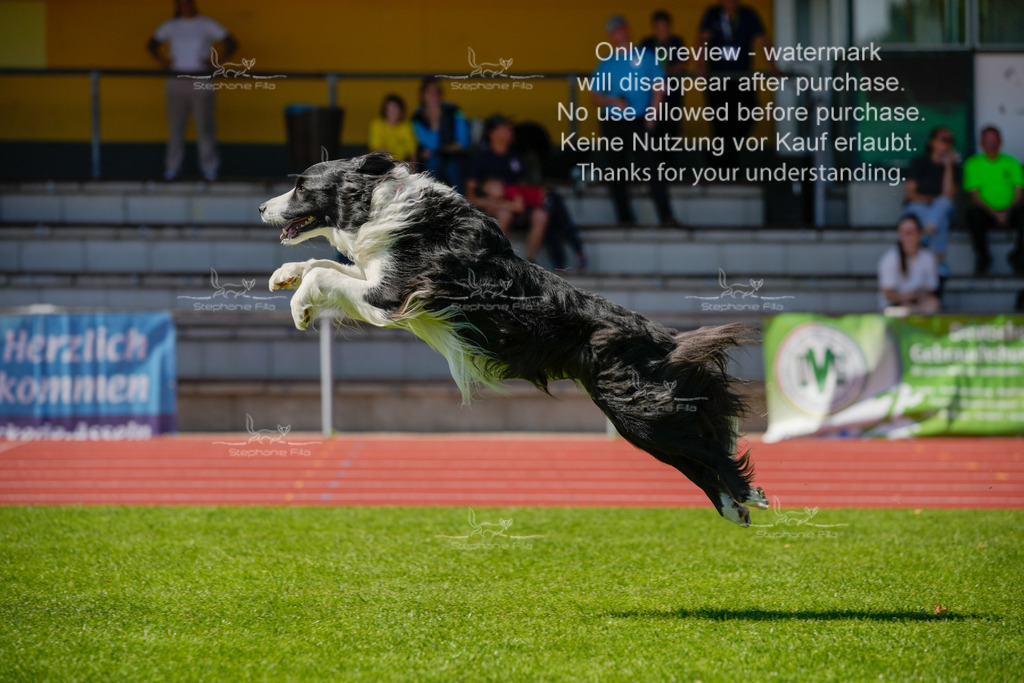 Sonntag_VK Hindernis (49 von 671) | stephaniefillaphotographie - Realisiert mit Pictrs.com