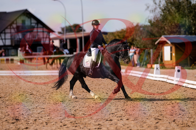 2026_10_03_Siefer-Hof_131850_Z81_66848825 | Professionelle Reitsport-, Turnier- und Eventfotografie von Robert Broda. Galerien mit ausgewählten und bearbeiteten Bildern direkt online ansehen und bestellen.