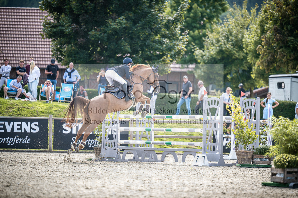 DOS_9433 | Entdecke hochwertige Reitturnierfotos von Foto Oger. Professionell, emotional und authentisch – jetzt Lieblingsmomente im Shop bestellen.Deutschlandweite Turnierfotografie. - Realisiert mit Pictrs.com