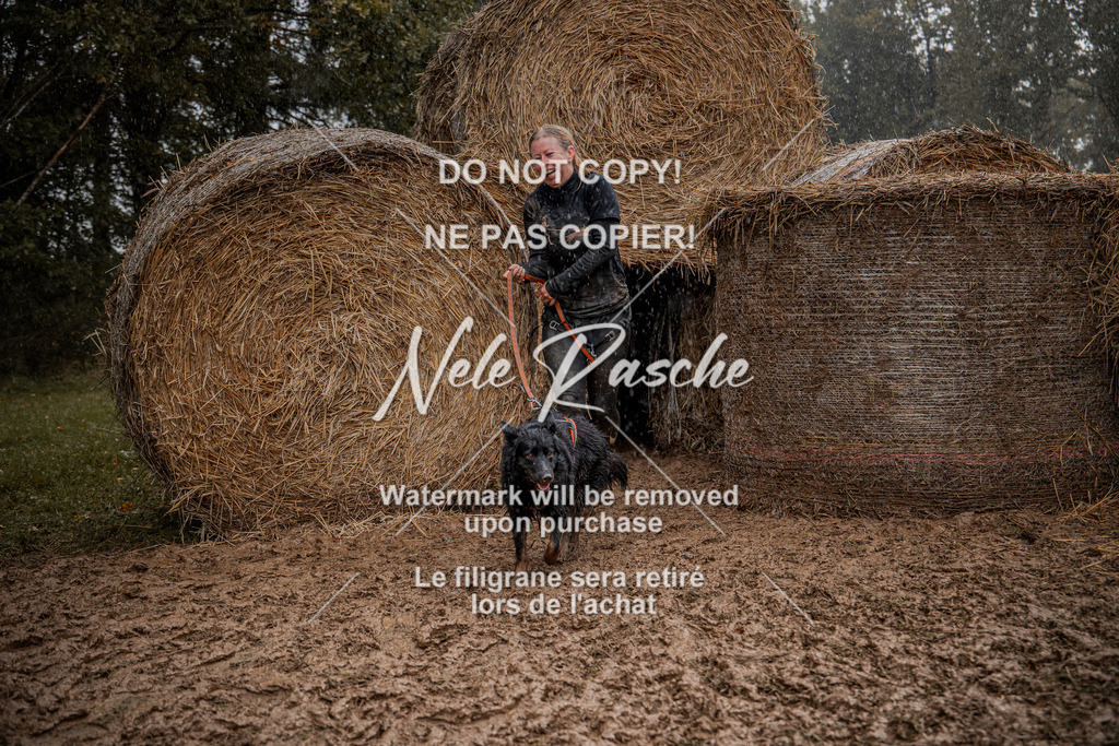 nelerasche_Hunsrück_So12-13_130 | nelerasche