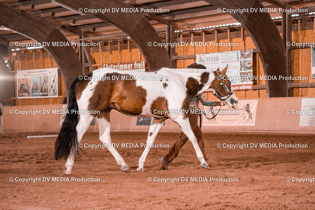 NE200039 | dv-media-shop - Realisiert mit Pictrs.com