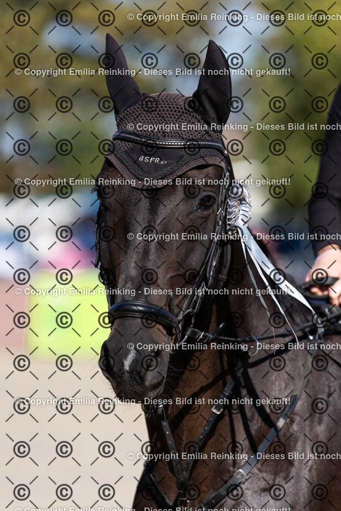 CL5A4263 | Emilia Reinking Fotografie - Realisiert mit Pictrs.com