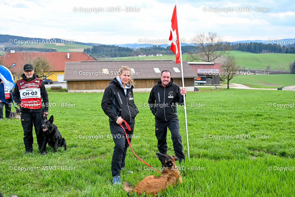 ASVÖ_ Tracking Dog World Championship 2025_ 05.04.2025-101 | bilder.asvo-sport - Realisiert mit Pictrs.com
