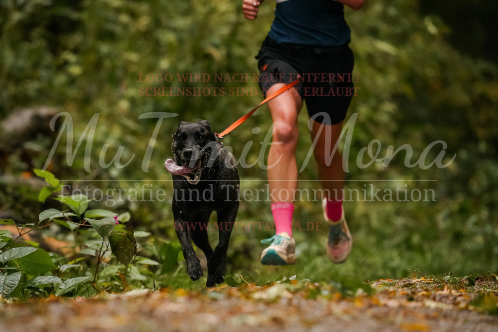 20251005_THS_Turnier-163 | MuT (Mensch und Tier) mit Mona - Fotografie und Tierkommunikation - Realisiert mit Pictrs.com