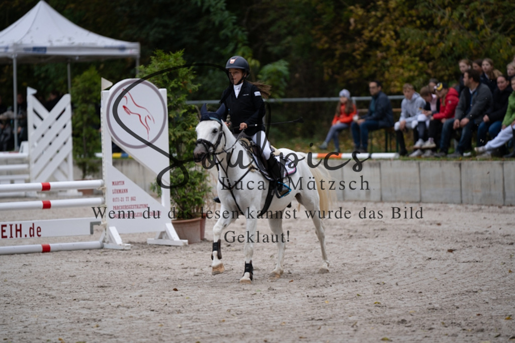 A7V09675 | Pferdefotograf