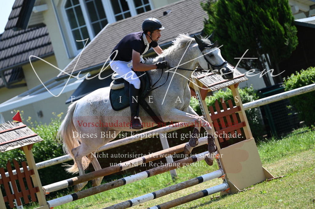 DSC_0699 | Pferde- und Turnierfotografie in Westsachsen. Pferdeportraits, Auftragszeichnungen und intuitive Kunst.