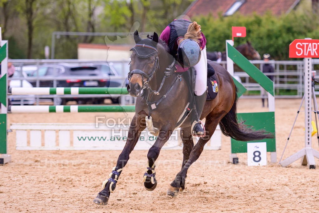 12042026-Mammendorf-Prfg43-0124 | Fokus Hufschlag Fotografie - Realisiert mit Pictrs.com