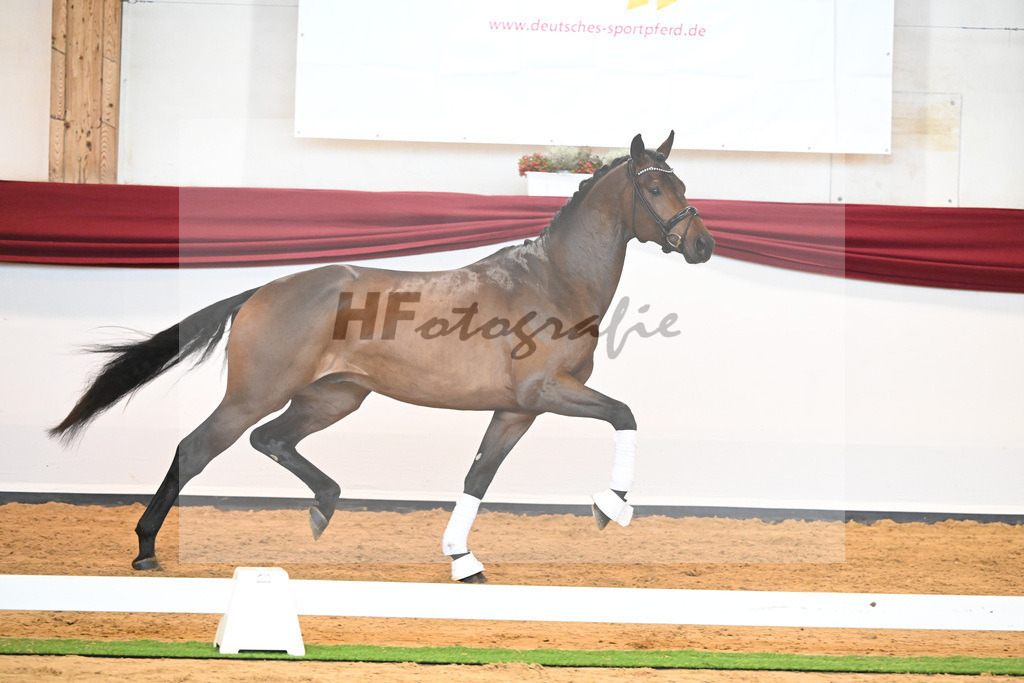 Kat-Nr. 38 v. Jovian_Limbecker_66220515 | hf-fotografie - Realisiert mit Pictrs.com