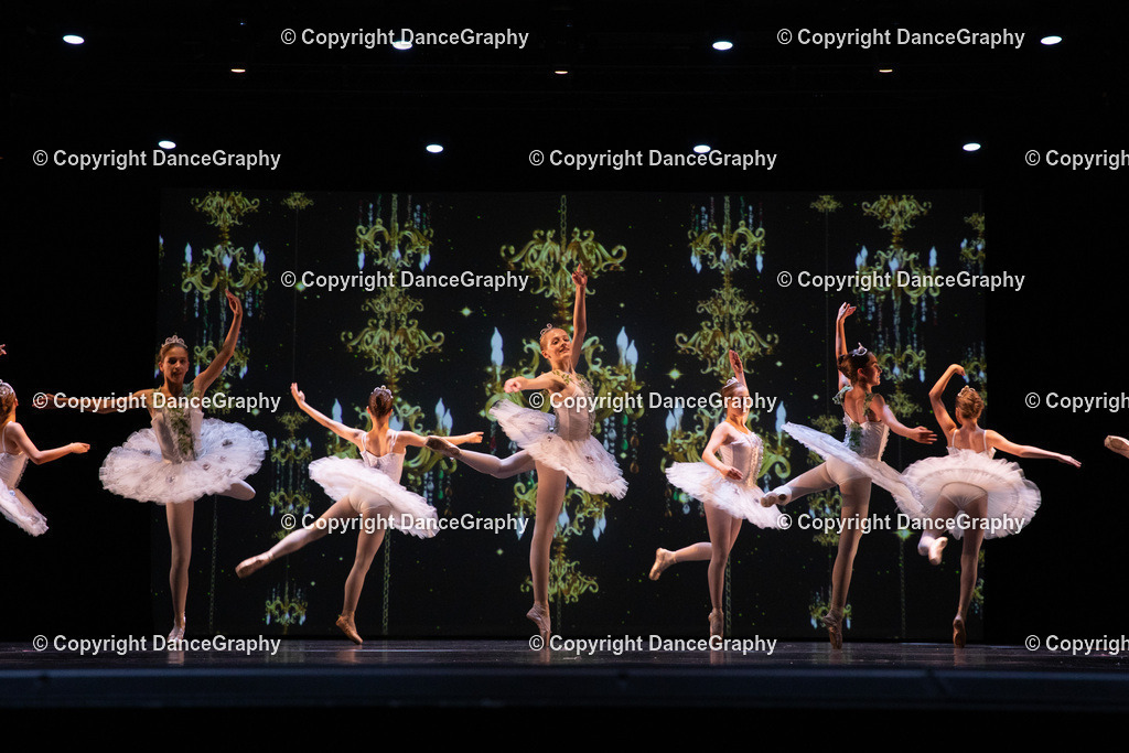 GPHY6950 | DanceGraphy - Realisiert mit Pictrs.com