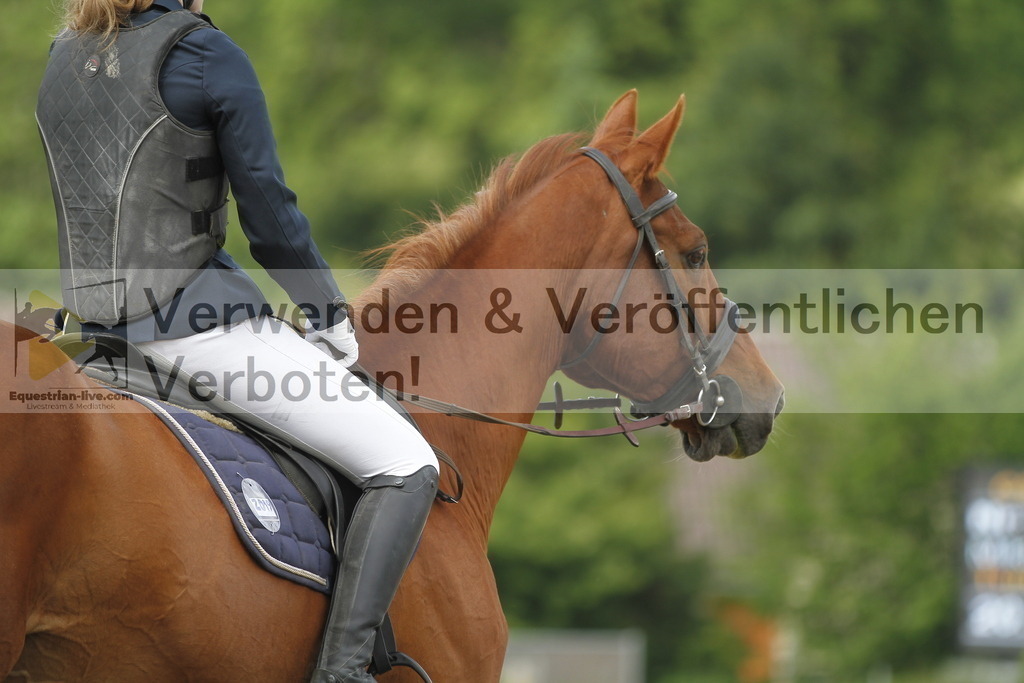 _MG_4323 | equestrian-live-com