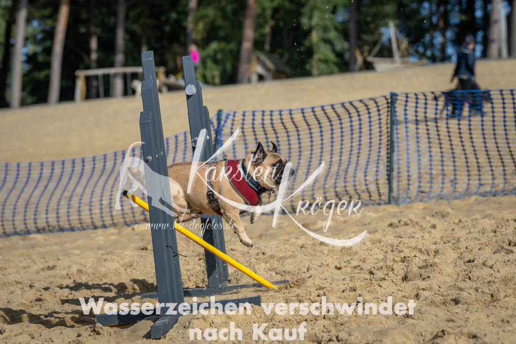 1114_ZZ90772 | kk-dogfotos