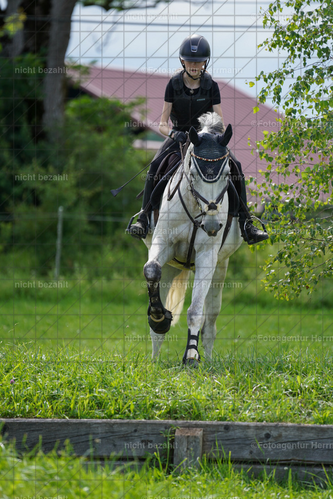 20240622-FAH07977 | Turnierfotografen Bayern, Reitsportbilder aus dem Geländekurs mit Felix Etzel auf dem Gut Waitzacker 2024