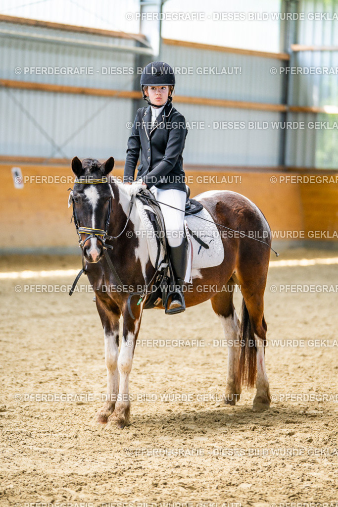 DSC03487 | Pferdegrafie