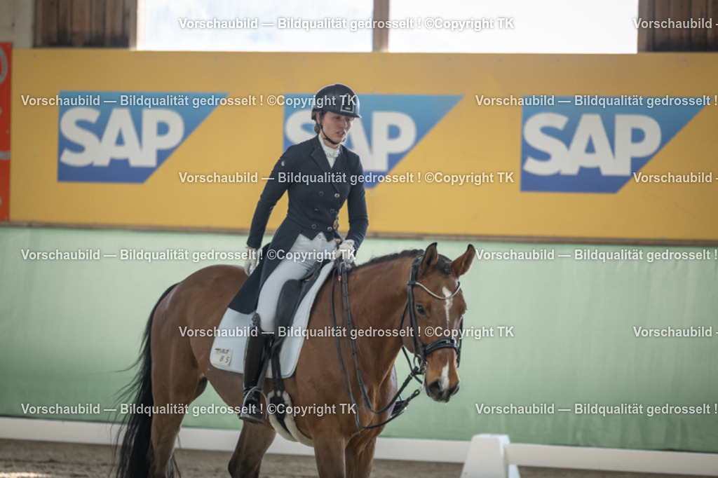 _D5A0047 | Emotionale Pferde- & People-Fotografie rund um Heidelberg, Leimen & Umgebung. Natürliche Fotos von Pferd, Mensch & Familie. Jetzt Termin sichern!