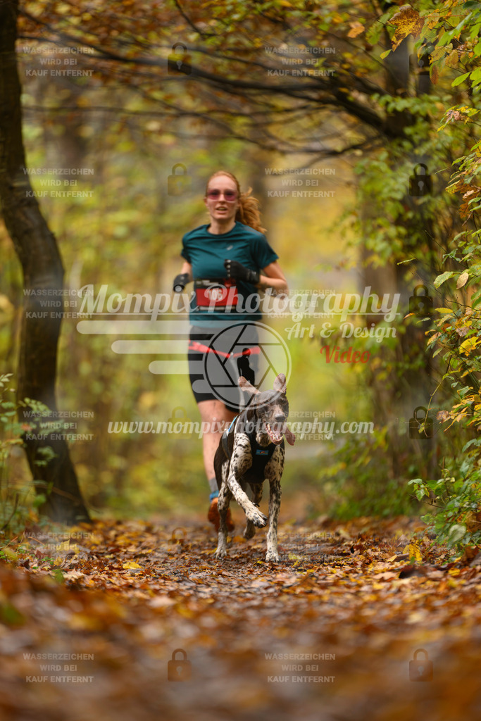 MompixPhotography_CD7S_DI_CCL-38 | mompixphotography