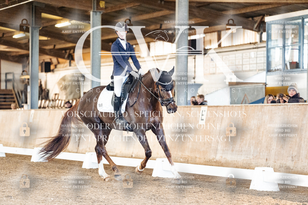 CK906846 | Turnierfotografie Pferdefotografie Trier Rheinland-Pfalz Pferdesport Reitsport Tierfotografie Sportfotografie Pferdevideo Pferdevideografie Equestrianvideography equestrianphotography  - Realisiert mit Pictrs.com