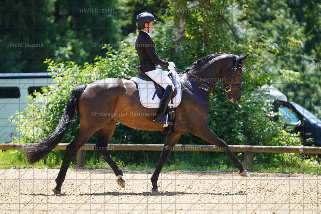 20240705-FAH03674 | Turnierbilder von Grafing, Reitsportbilder, Turnierfotos, Turnierfotografen Bayern, Pferdefotograf, Fotoagentur Herrmann